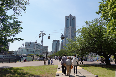 DSC07264_R