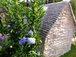 DSCF7572_R