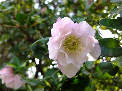 DSCF1579_R