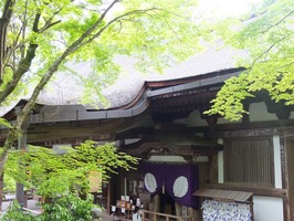 DSCF9457