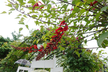 DSC08217_R