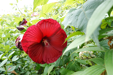DSC02543_R