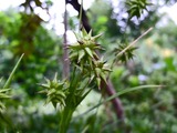 DSCF2865_R