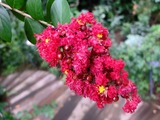 DSCF2795_R