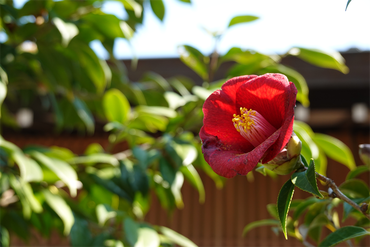 DSC06247_R