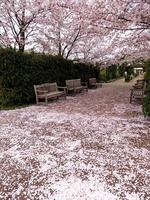 DSCF8401_R