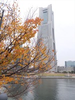 DSCF6062_R