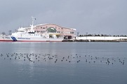 DSCF8641_R