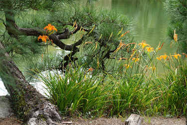 DSC09939_R