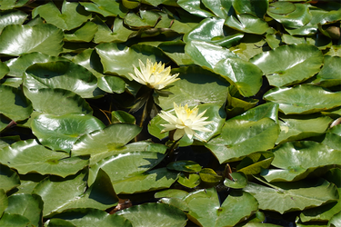 DSC08001_R