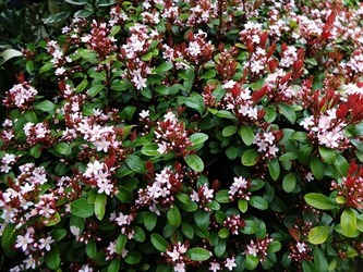 DSCF9509_R