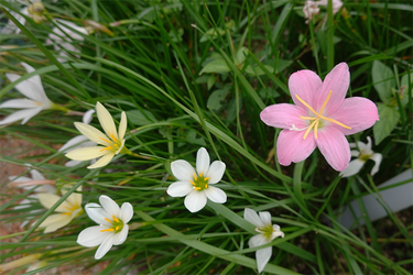 DSC09890_R