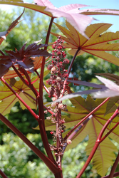 DSC09003_R