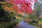 DSCF7459_R