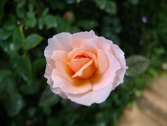 DSCF1497_R