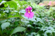 DSCF4118_R