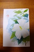 DSCF4454_R