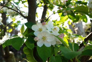 DSC06392_R