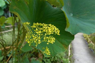 DSC09193_R