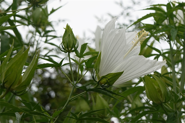 DSC09311_R