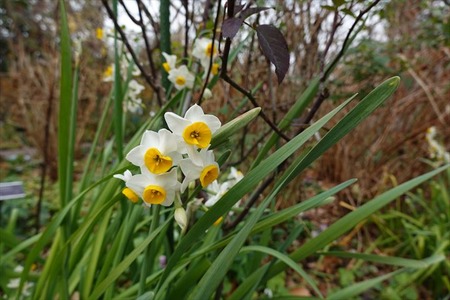 DSC03644_R