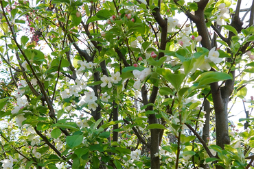 DSC06394 (1)_R