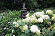 DSCF3651_R