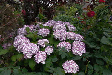 DSC08188_R