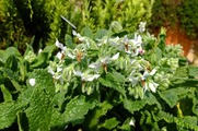 DSCF0517_R
