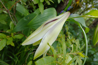 DSC08493_R