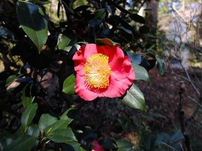 DSCF1045_R
