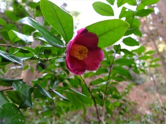 DSCF7763_R