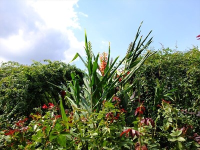 DSCF5402_R