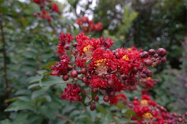 DSC08911_R