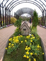 DSCF7473_R