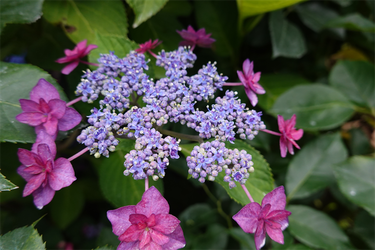 DSC08291_R