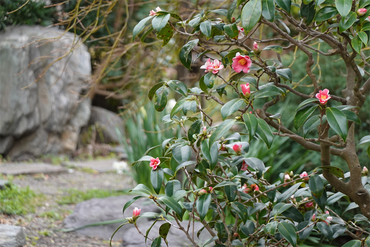 DSC05819_R