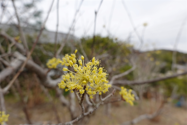 DSC05708_R