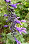 DSCF6432_R