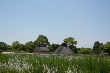 DSC07976_R