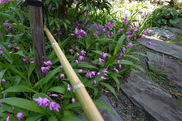 DSC05947_R