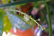 DSCF0484_R