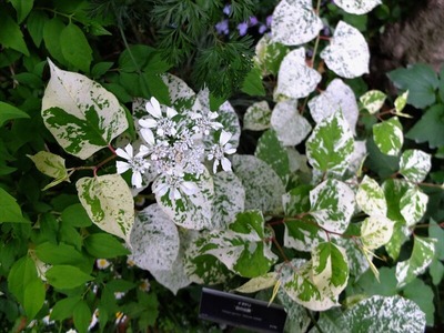 DSCF2629_R