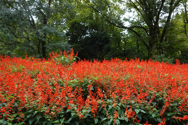 DSC09716_R