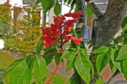 DSCF2973_R