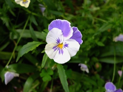 DSCF2552_R