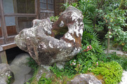 DSCF4379_R