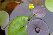 DSCF5069_R