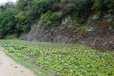DSC09594 (1)_R