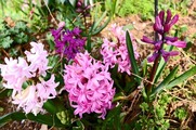 DSCF1735_R